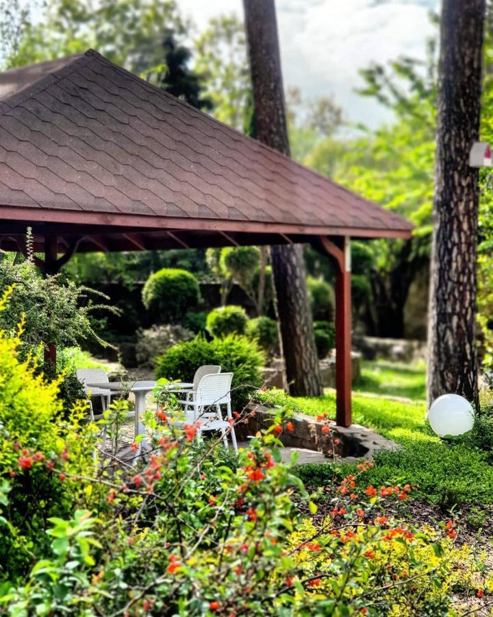 Hotel Europa Starachowice Bagian luar foto
